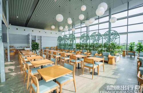 HPHSH Premium Lounge Cat Bi
