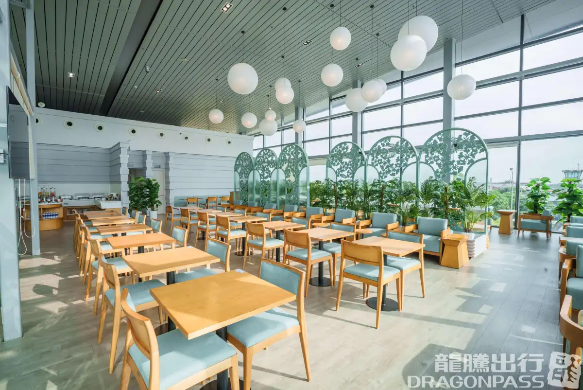 SH Premium Lounge Cat Bi – photos 6