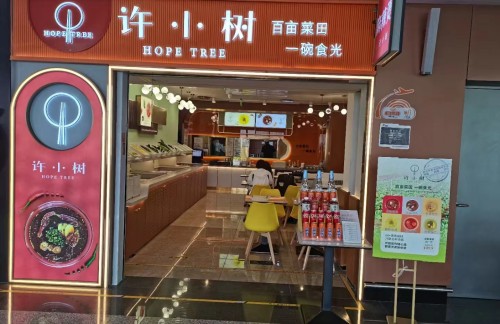 北京大兴国际机场许小树