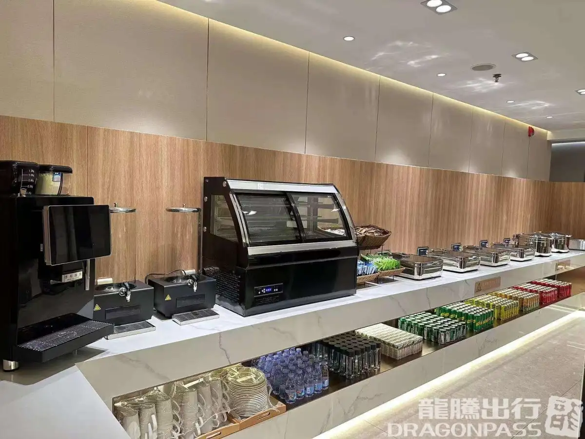 VIP Service domestic Lounge 2 – photos 5