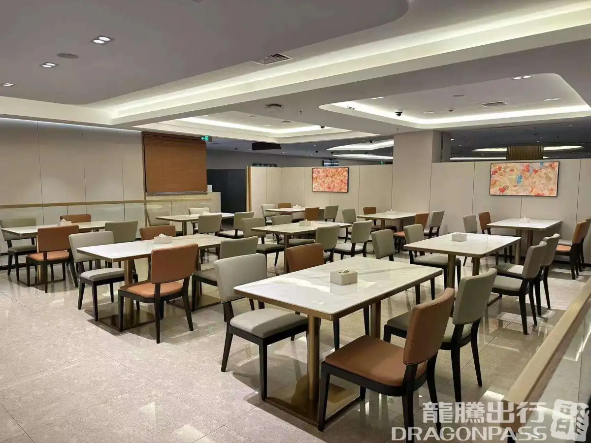 VIP Service domestic Lounge 2 – photos 8