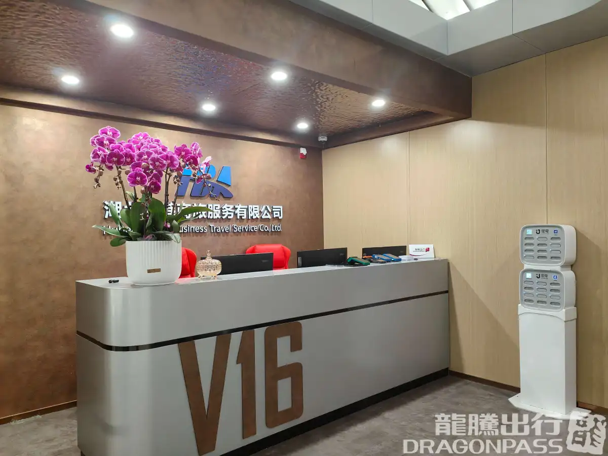 V16 VIP lounge (T2 domestic) – photos 8