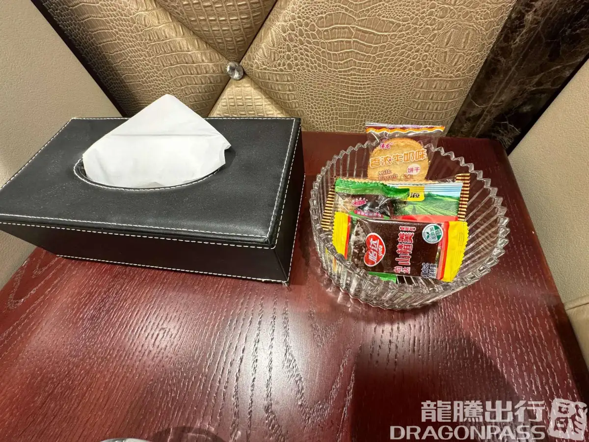VIP Lounge (Landside) – photos 8
