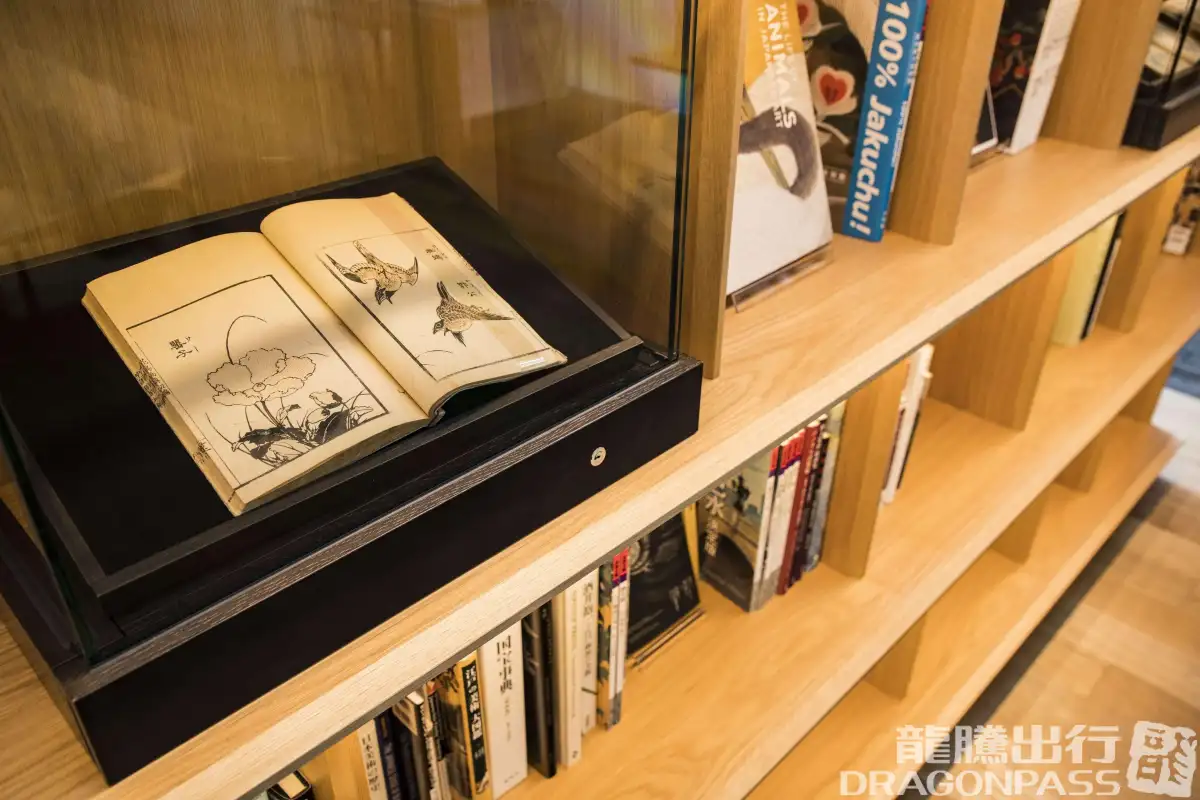 CAFÉ SKY LIBRARY – photos 8