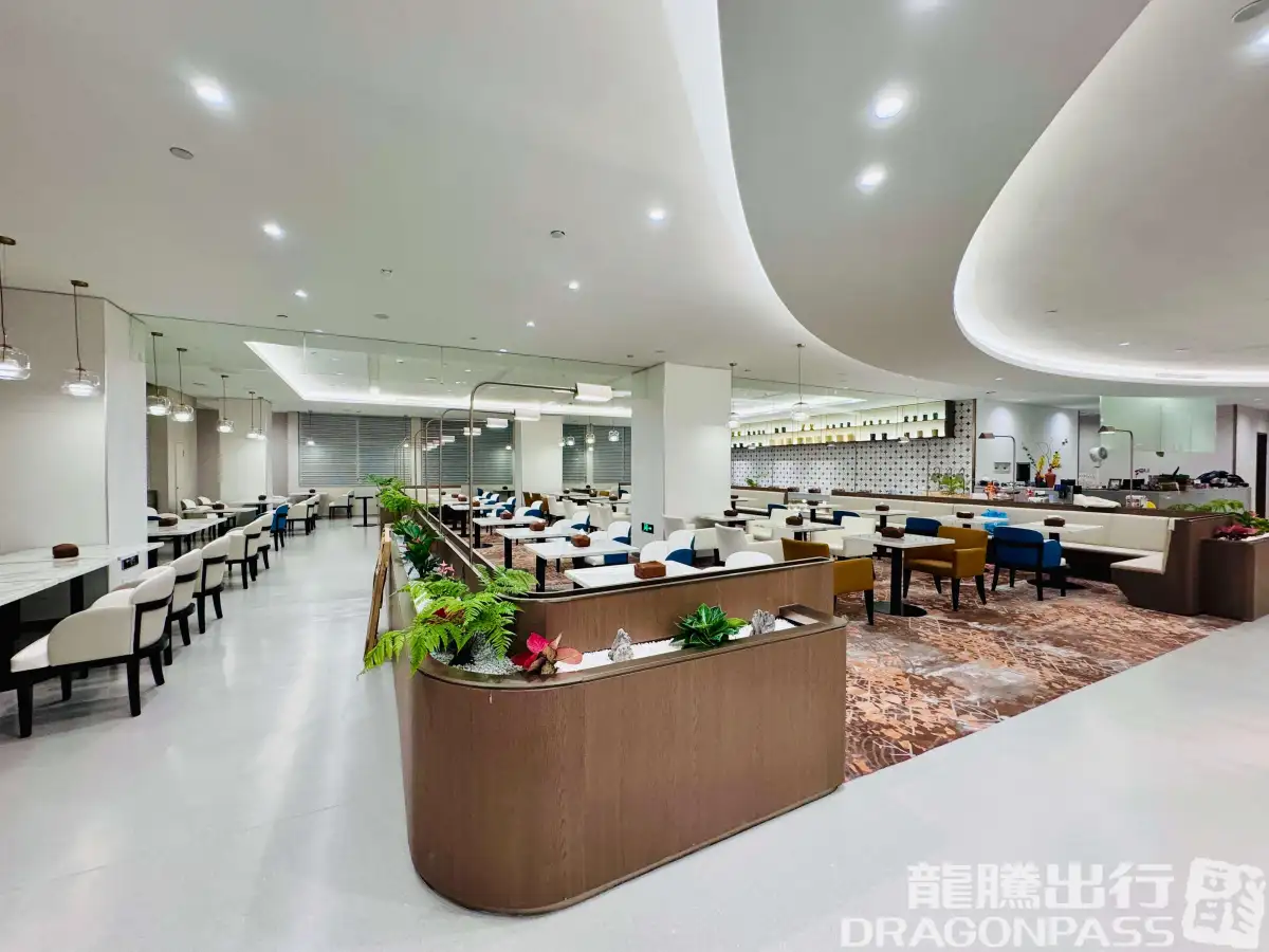 No.7 International First Class Lounge – photos 7