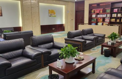 air-830325国内头等舱候机室