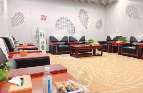 air-431225VIP贵宾候机厅