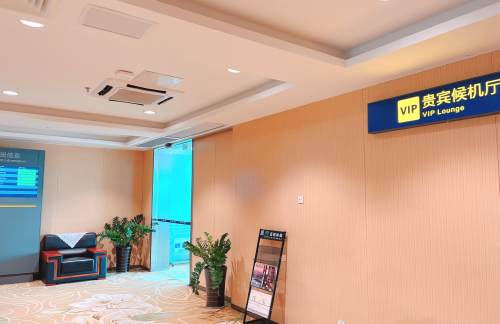 air-431225VIP贵宾候机厅