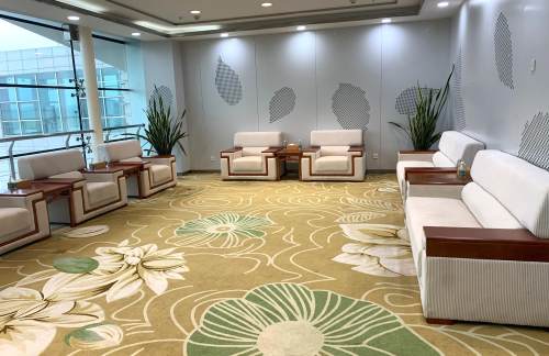 air-431225VIP贵宾候机厅