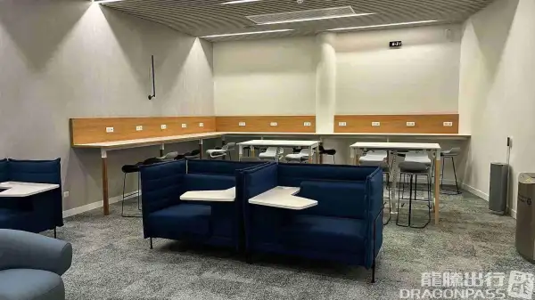 VIP European Union Flights Lounge – photos 2