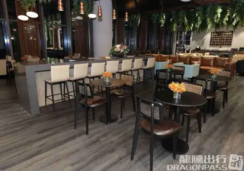 Platinum Lounge (Domestic)