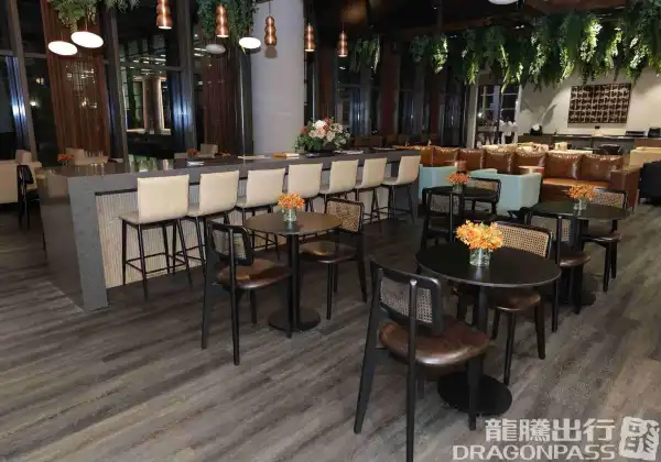 Platinum Lounge (Domestic) - 1