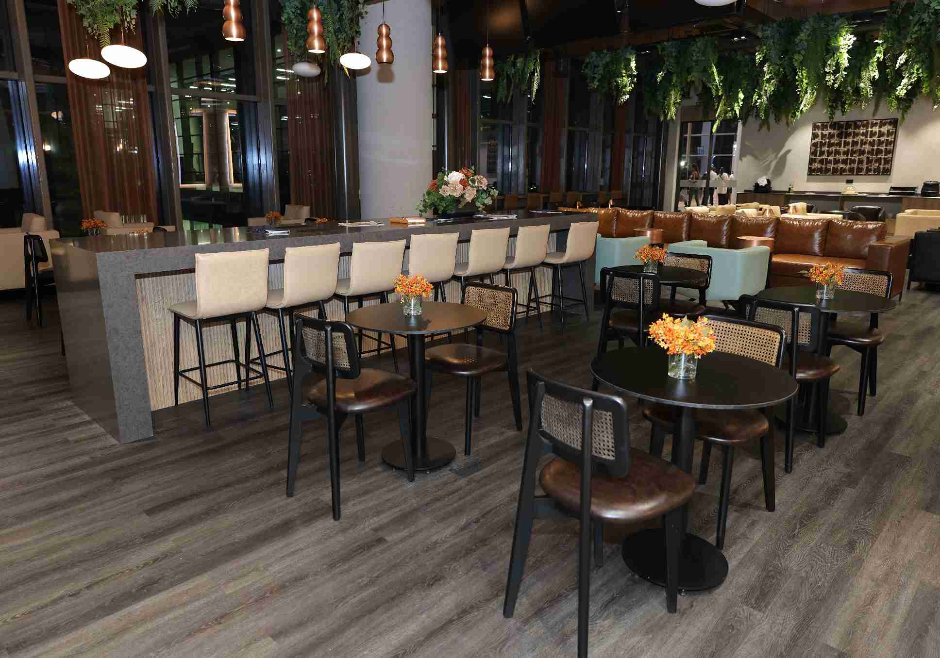 Platinum Lounge (Domestic)