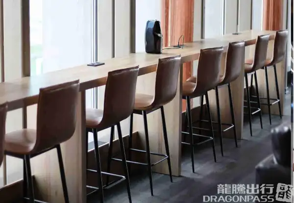 Platinum Lounge (Domestic) – photos 2