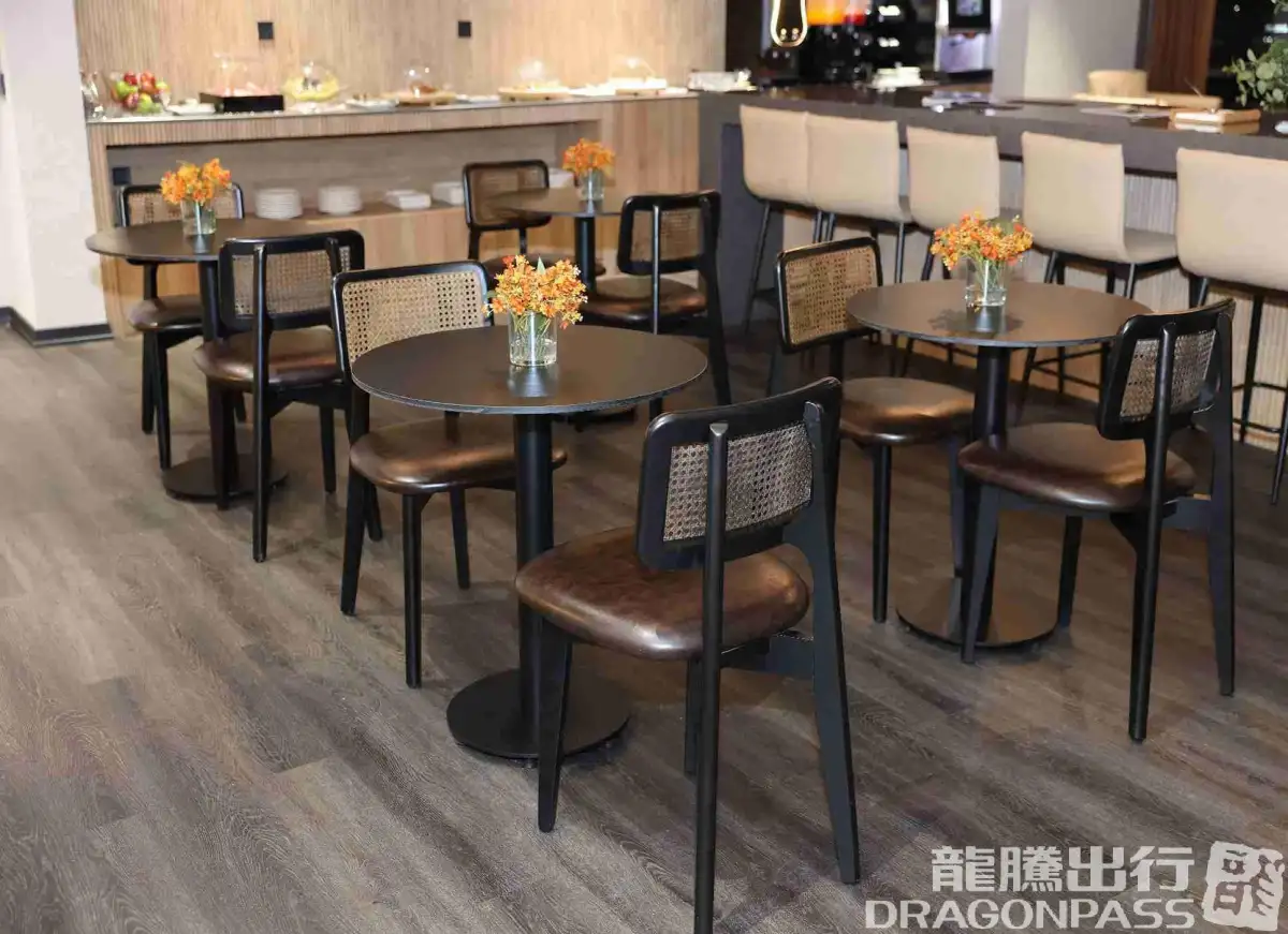 Platinum Lounge (Domestic) – photos 3