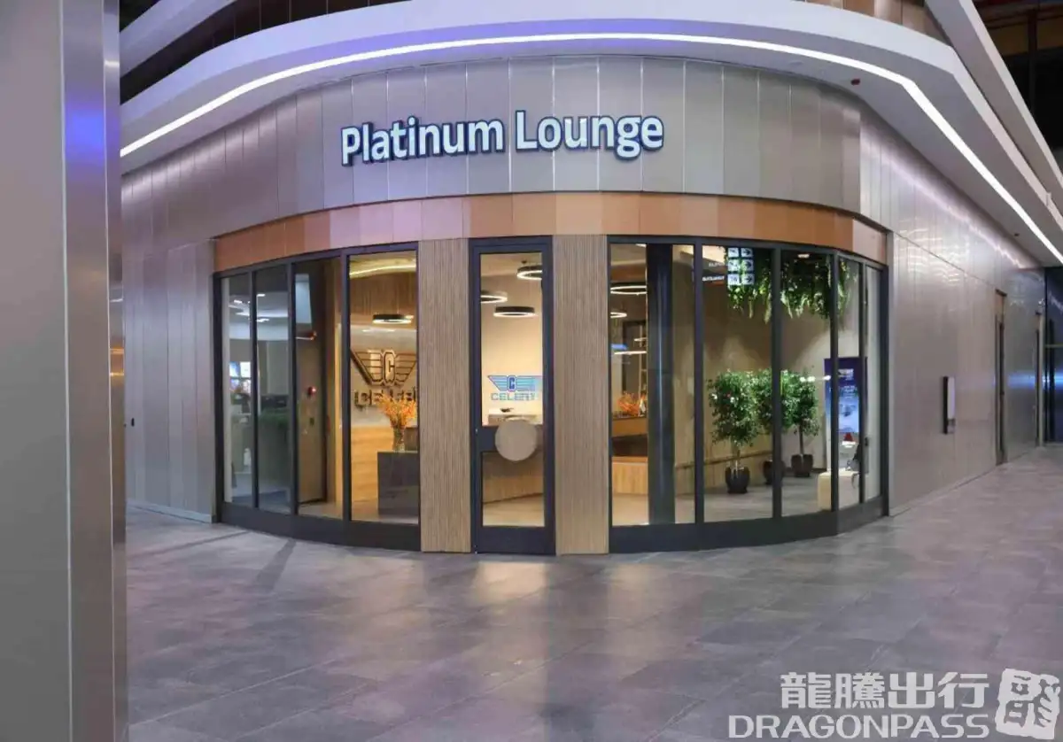 Platinum Lounge (Domestic) – photos 5