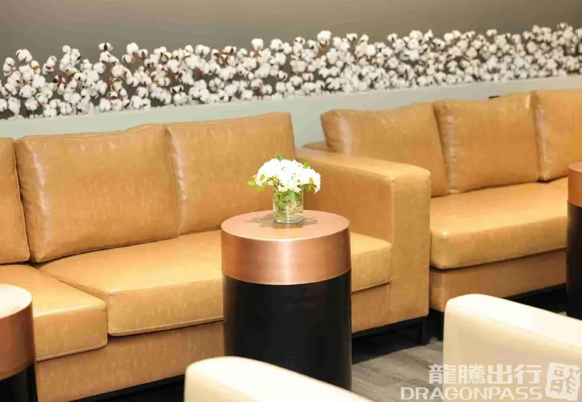 Platinum Lounge (International) – photos 5