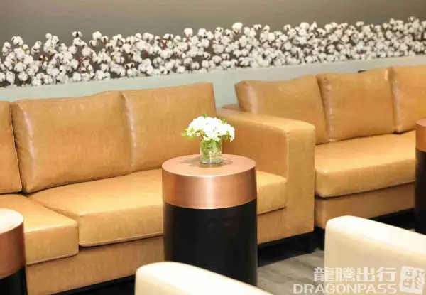 Platinum Lounge (International) – photos 5