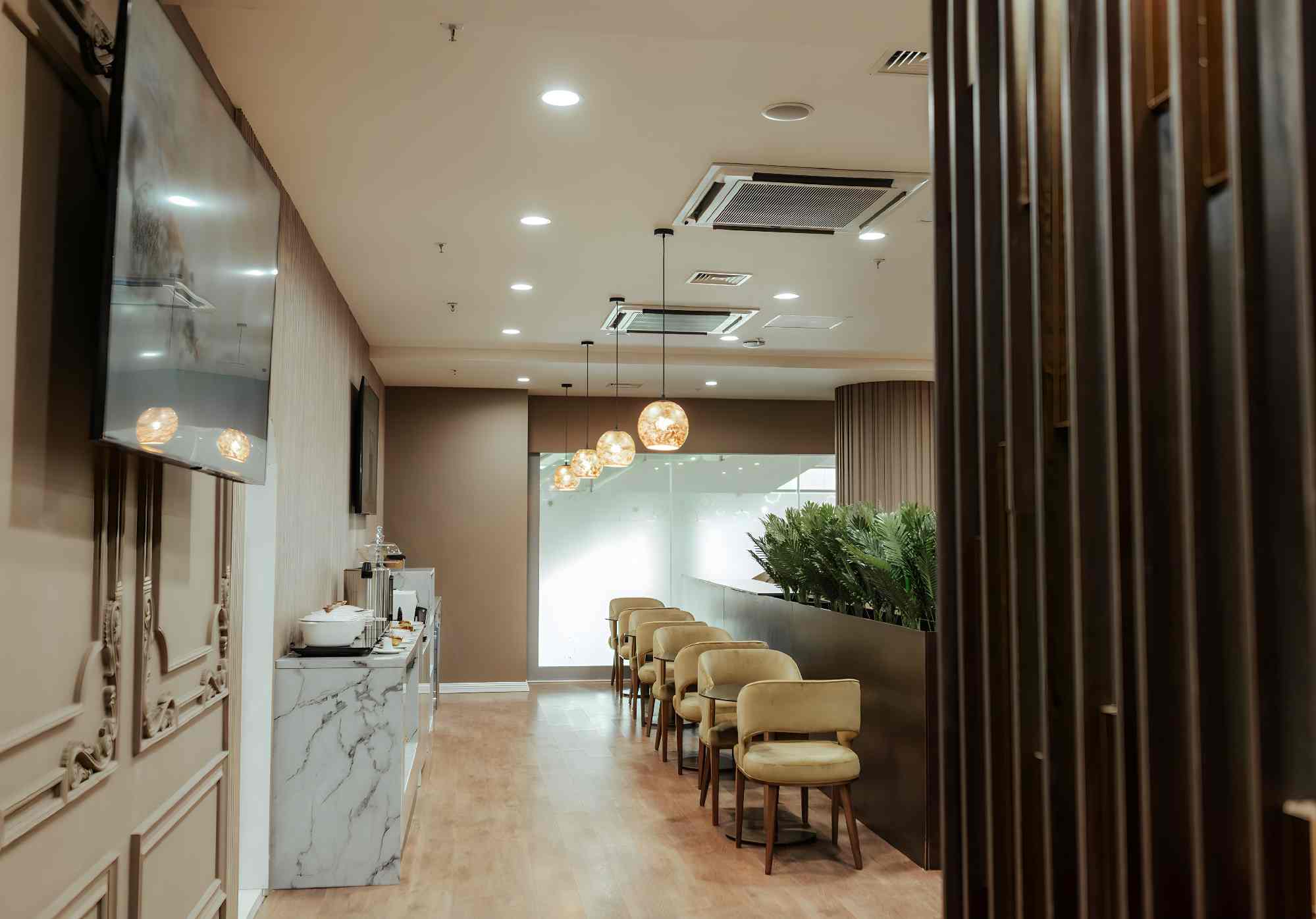 Premium Luxury Lounge atmosphere, image 5