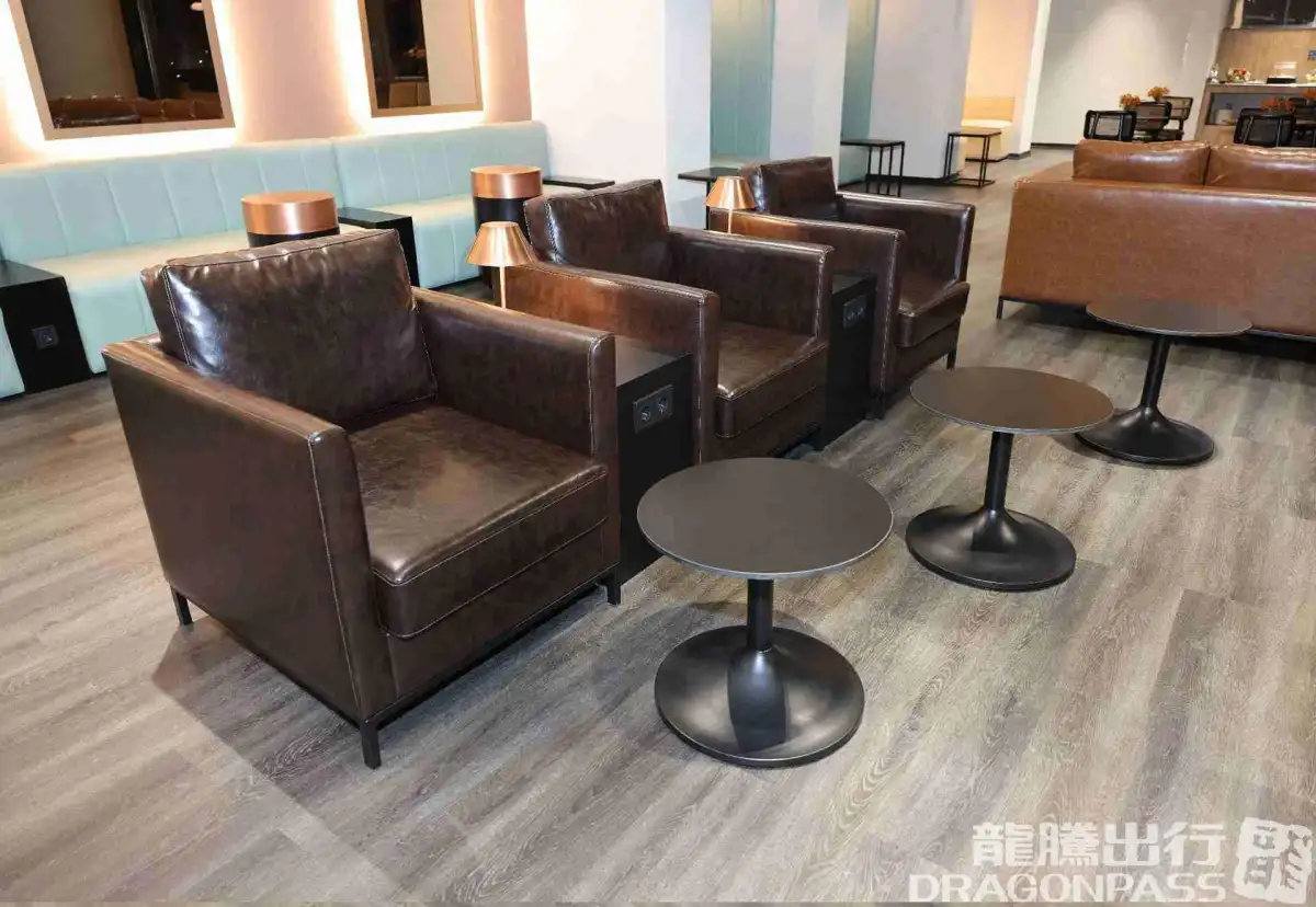 Platinum Lounge (Domestic) – photos 6