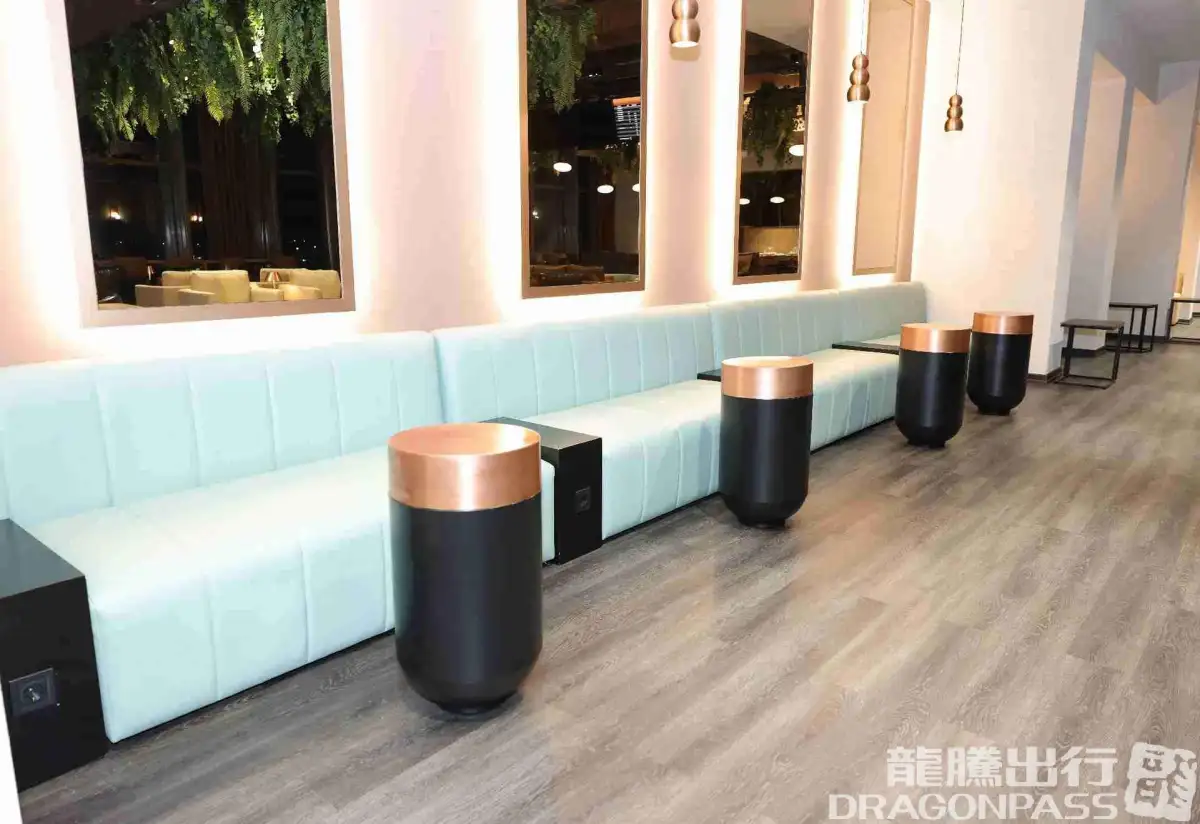 Platinum Lounge (Domestic) – photos 7