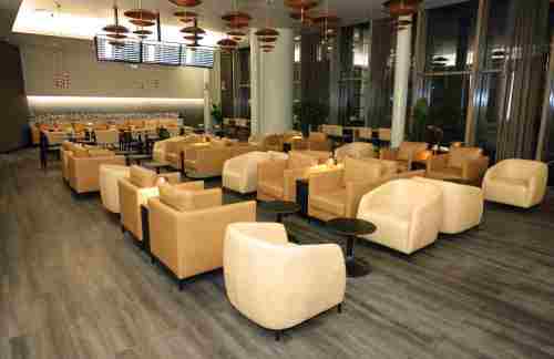 air-6893540Platinum Lounge (International)