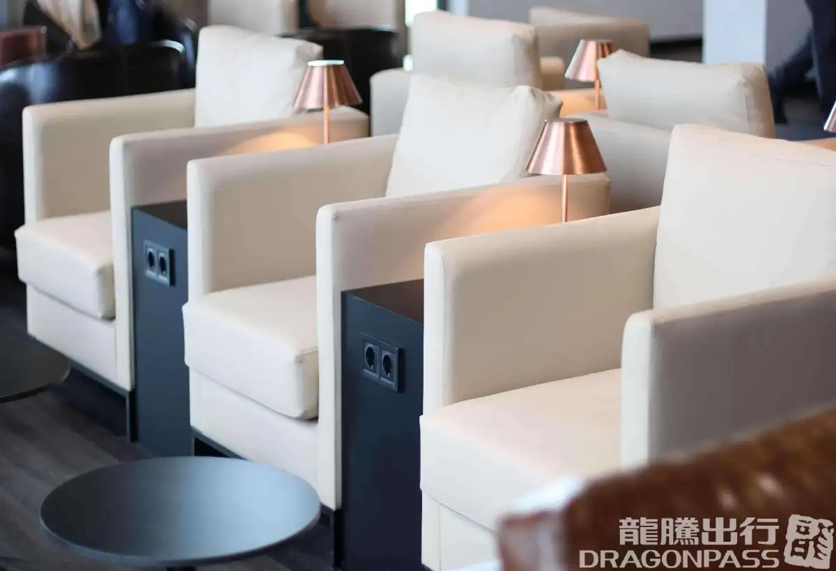 Platinum Lounge (Domestic) – photos 8