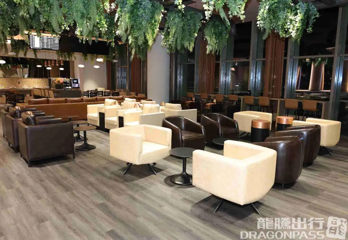 Platinum Lounge (Domestic) – photos 9