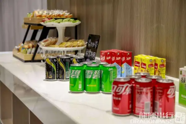 International First Class Lounge – photos 4