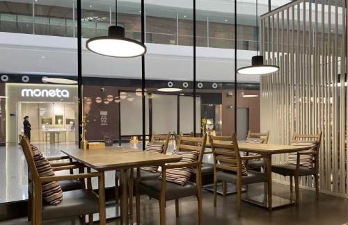 北京大兴国际机场小大董