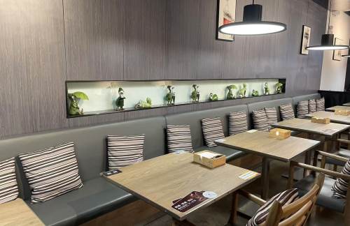 北京大兴国际机场小大董