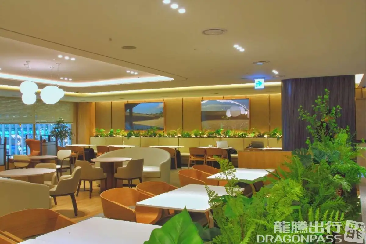 Sky Hub Lounge (East Wing) – photos 7