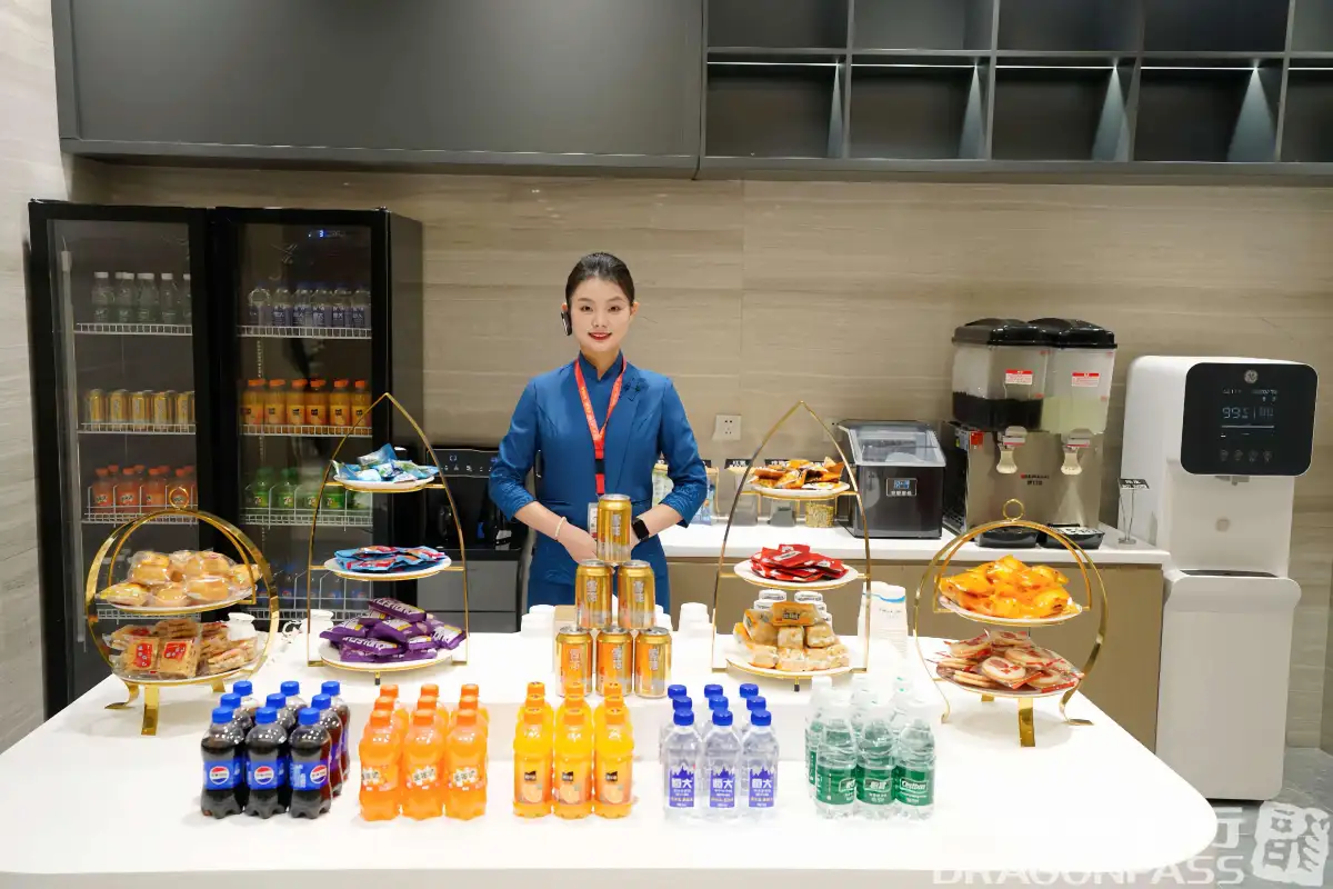 First class lounge (T2 domestic) – photos 2