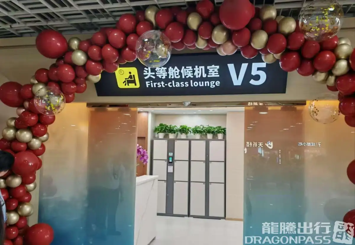 V5 First Class Lounge (T1 Domestic) – photos 3
