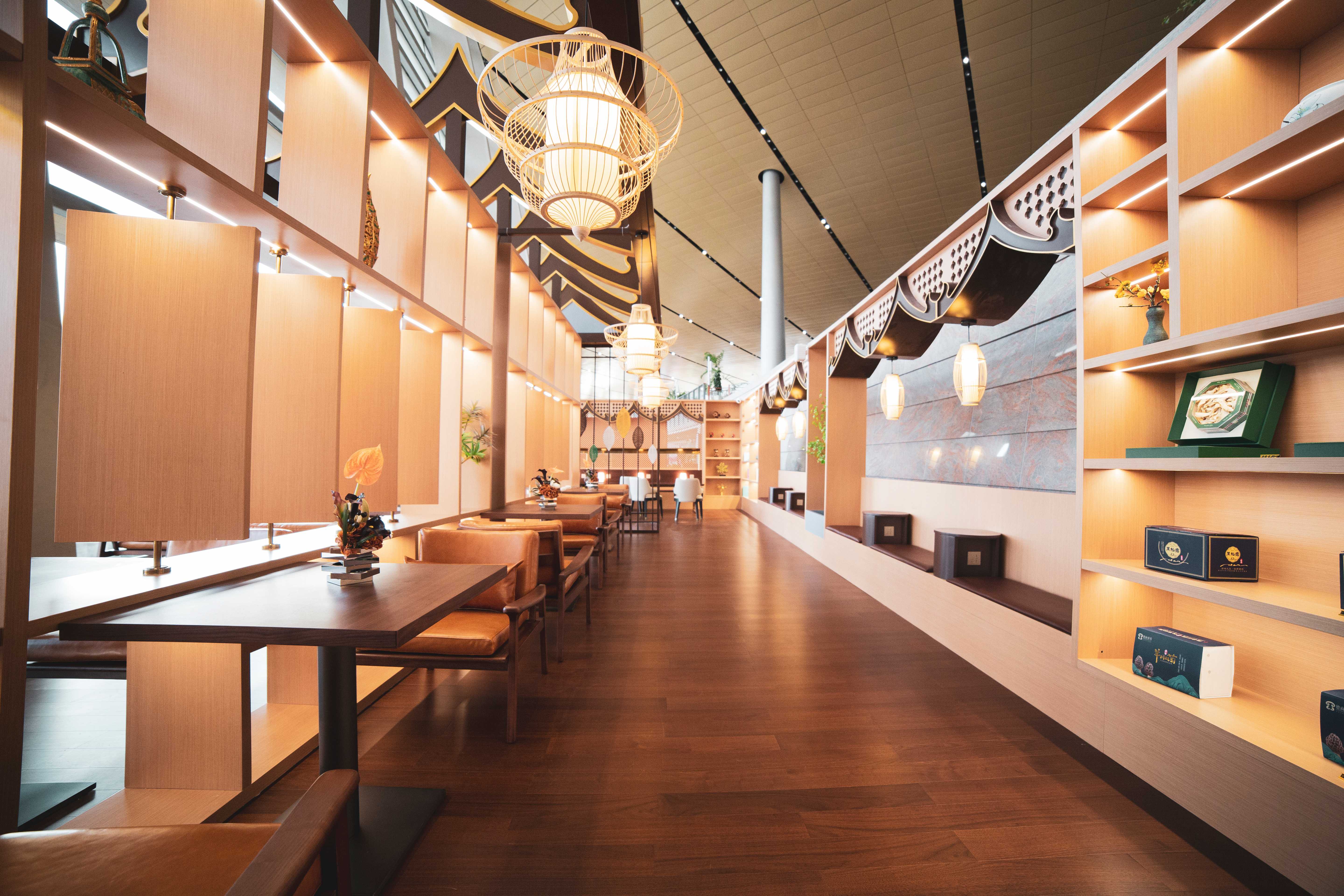 First Class/Business Class Lounge V6 atmosphere, image 7