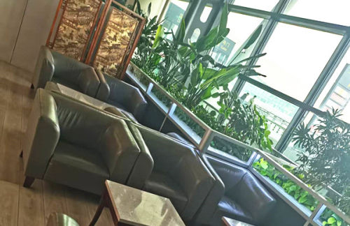 SHE辽宁航协要客服务中心 (T3国内)