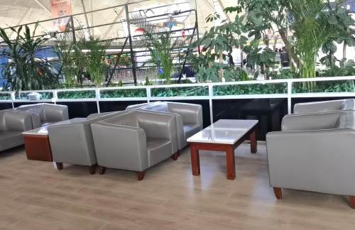 SHE辽宁航协要客服务中心 (T3国内)