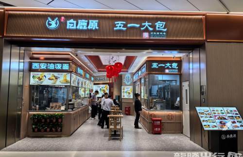 西安咸阳国际机场白鹿原