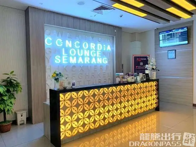 Concordia Lounge(Domestic) – photos 2