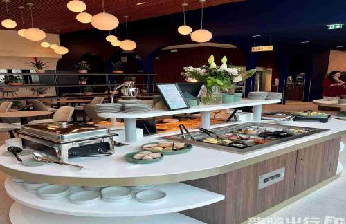 MRSVIP Lounge - International Flights