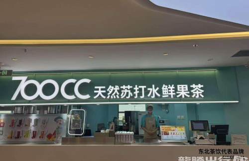 长春龙嘉国际机场700CC