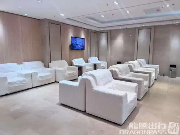 First Class Lounge (Dom) - 1