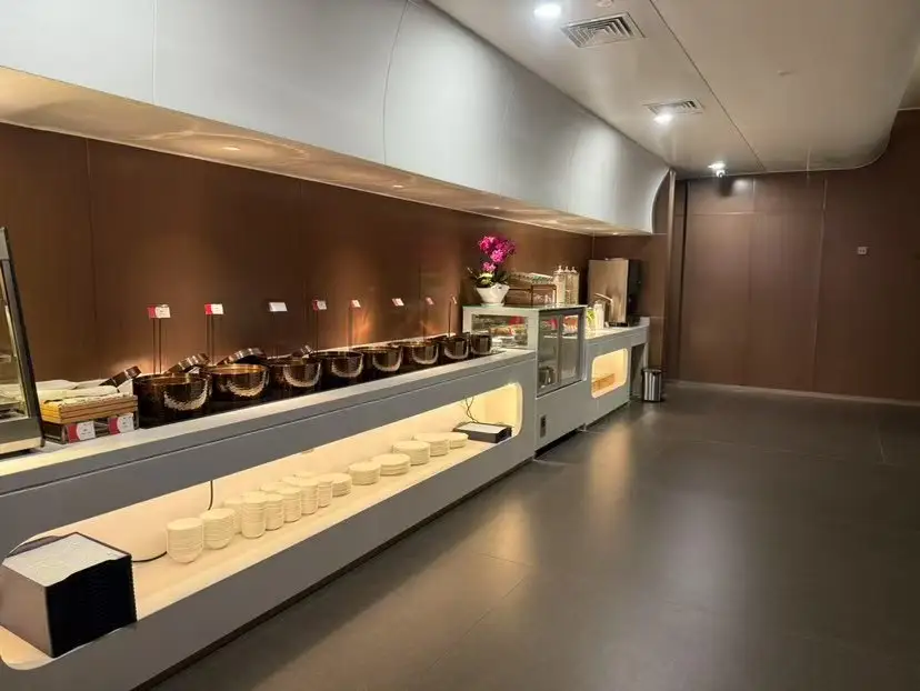 China Southern Airlines Kapok Lounge (International) – photos 6