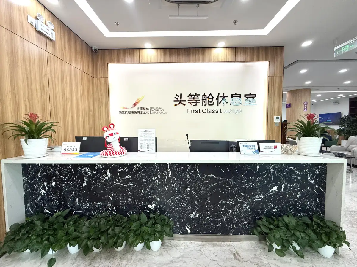 No.3 First Class Lounge (Terminal 3) – photos 5
