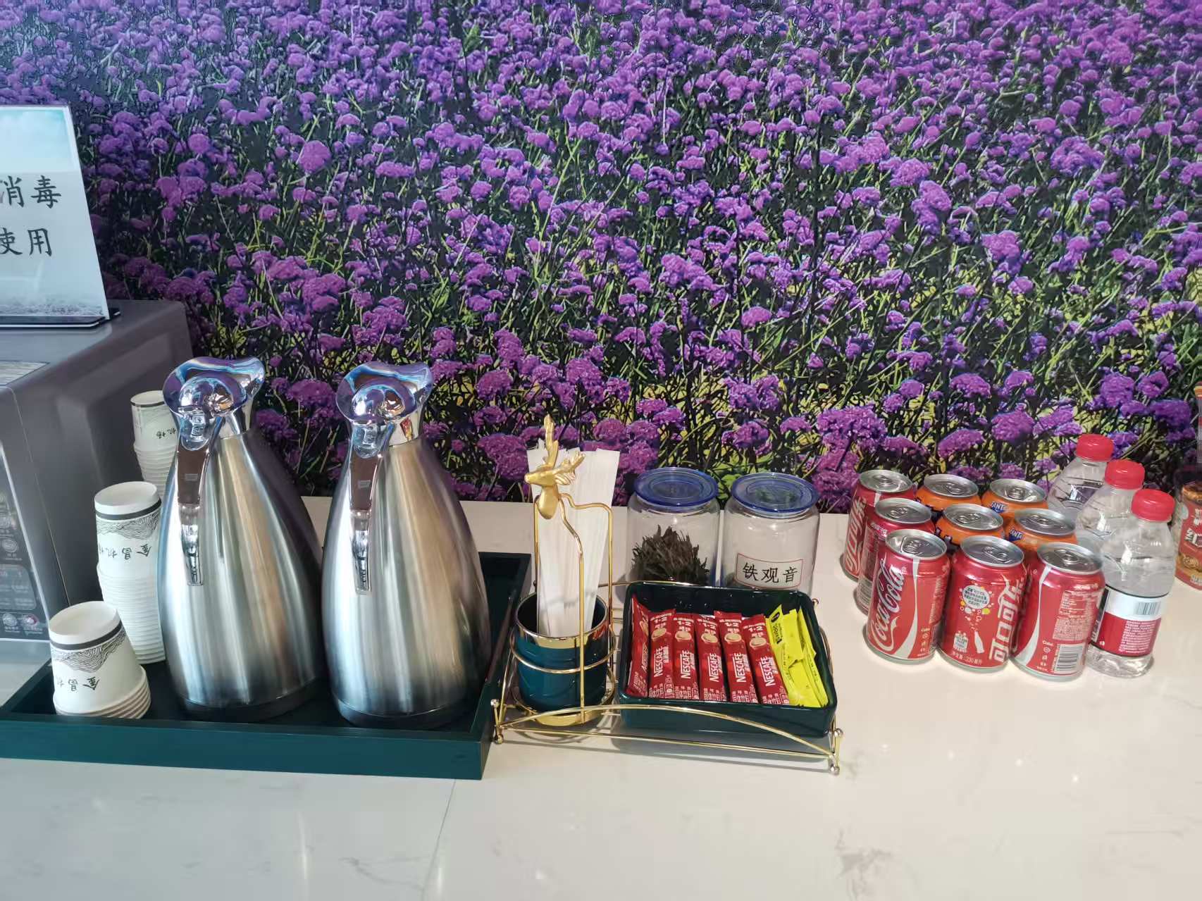 First Class Lounge (Domestic)