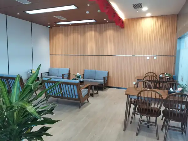 First Class Lounge (Domestic) – photos 4