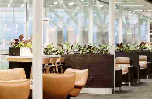 YYCAspire Lounge International