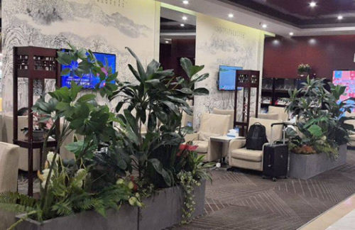 SHE南航头等舱公务舱休息室（T3国内）