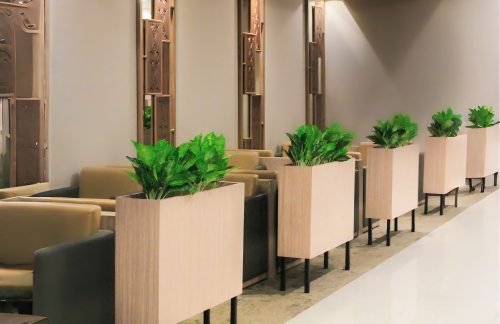 BDJSaphire 贵宾室（国内）