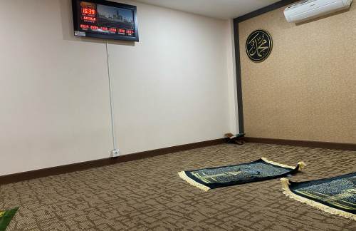 SOCConcordia Lounge (Domestic)